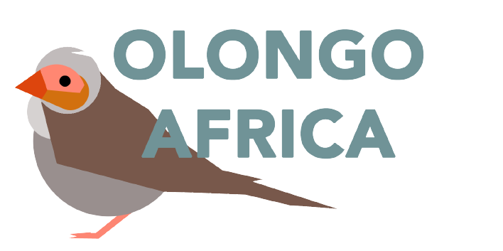 OlongoAfrica Logo